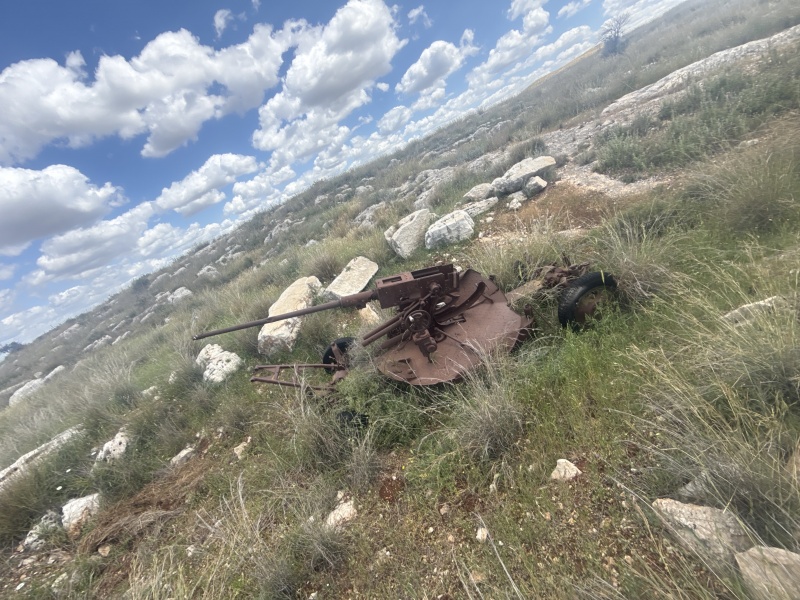 קובץ:2025-04-05T12 41 42.839299453519.jpg