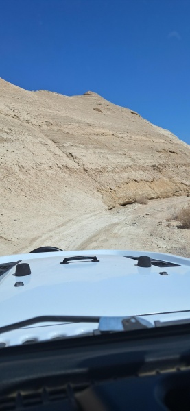 קובץ:2025-04-05T14 15 29.399638706726.jpg