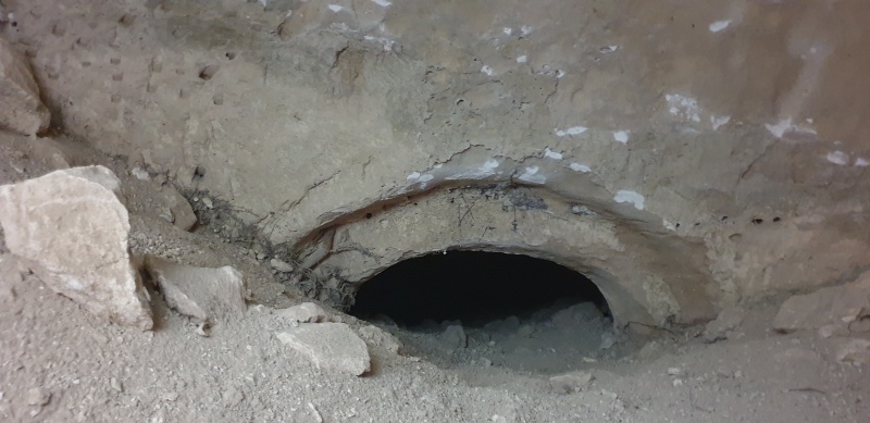 קובץ:2025-04-05T15 42 33.987568696110.jpg