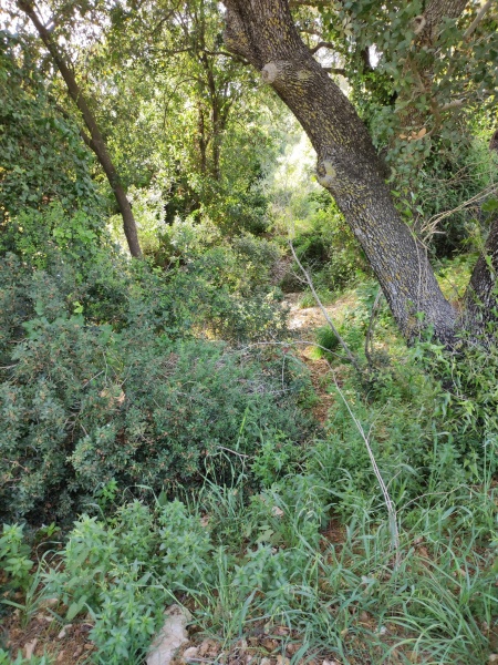 קובץ:2025-04-05T17 04 11.033851819043.jpg