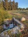 תמונה ממוזערת לגרסה מתאריך 15:19, 5 באפריל 2025