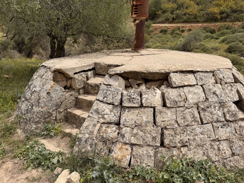 קובץ:2025-04-06T12 29 00.570703428879.jpg