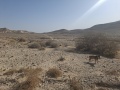 תמונה ממוזערת לגרסה מתאריך 05:46, 7 באפריל 2025