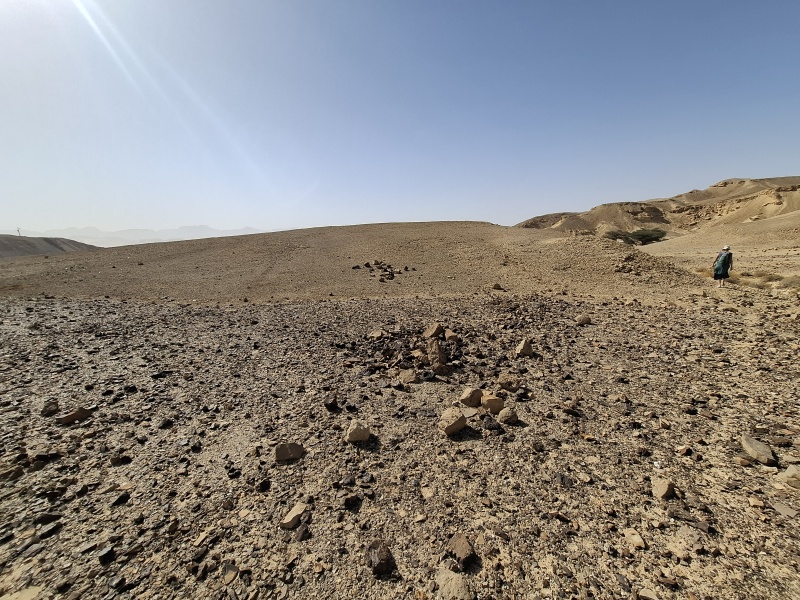קובץ:2025-04-07T09 39 17.265937884077.jpg