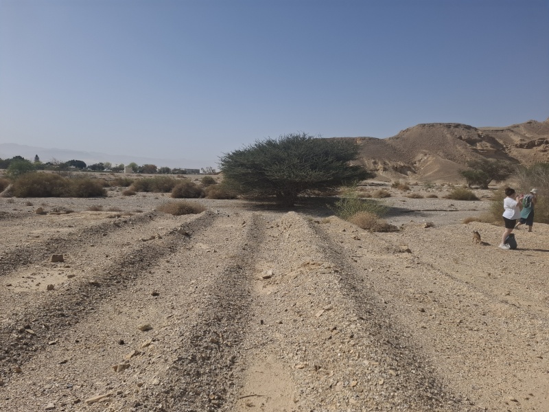 קובץ:2025-04-07T09 42 41.884943651883.jpg