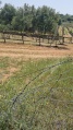 תמונה ממוזערת לגרסה מתאריך 10:48, 7 באפריל 2025