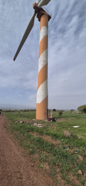 קובץ:2025-04-07T16 03 27.896361500911.jpg