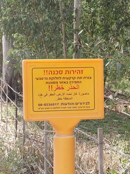 קובץ:2025-04-09T11 15 30.968625911117.jpg