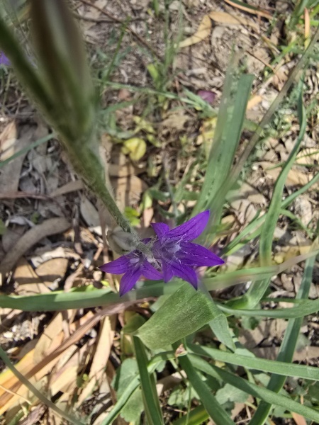 קובץ:2025-04-09T11 53 54.769675176299.jpg
