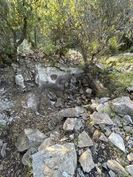 קובץ:2025-04-10T17 49 10.038403738367.jpg