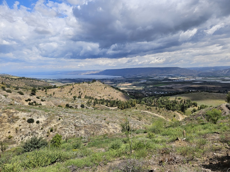 קובץ:2025-04-14T12 13 34.664576407054.jpg