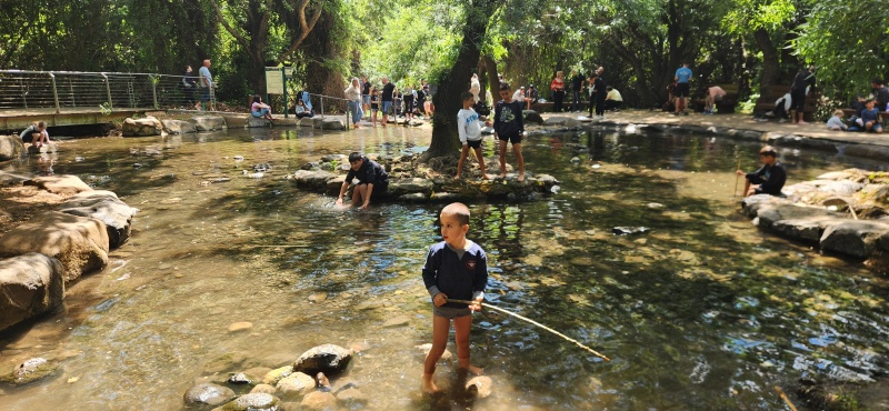 קובץ:2025-04-14T13 55 28.51126935165.jpg