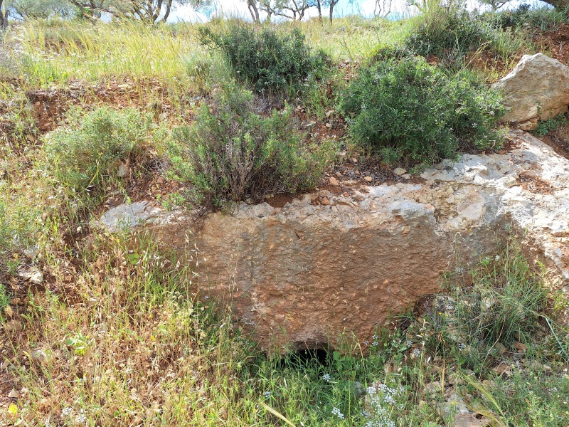 קובץ:2025-04-14T14 41 17.666562459637.jpg