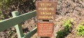 תמונה ממוזערת לגרסה מתאריך 13:57, 14 באפריל 2025