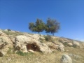 תמונה ממוזערת לגרסה מתאריך 21:13, 14 באפריל 2025