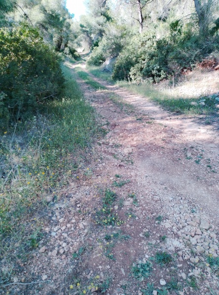 קובץ:2025-04-14T17 01 36.74296044811.jpg