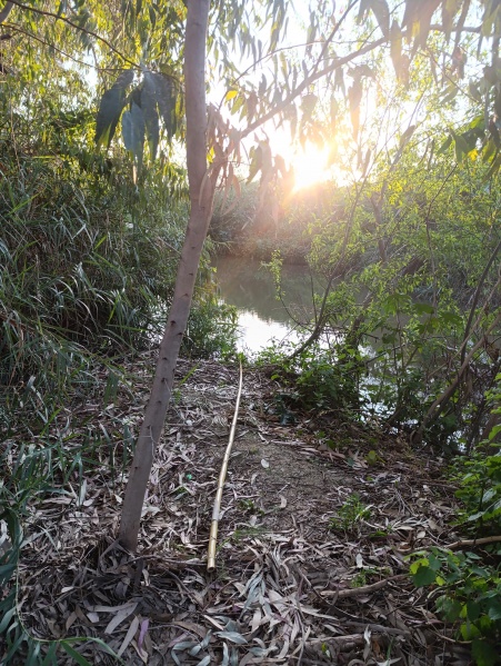 קובץ:2025-04-14T18 39 16.457954669715.jpg