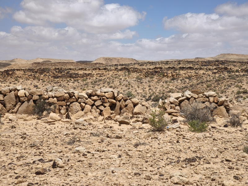 קובץ:2025-04-15T12 23 02.560553303700.jpg