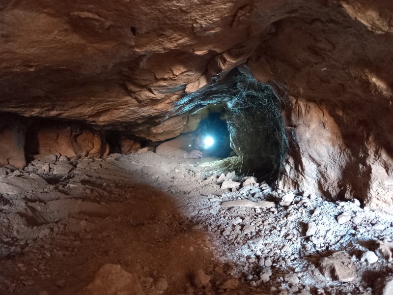 קובץ:2025-04-15T13 54 31.486679846063.jpg