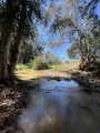 תמונה ממוזערת לגרסה מתאריך 10:46, 15 באפריל 2025