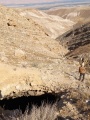 תמונה ממוזערת לגרסה מתאריך 08:58, 17 באפריל 2025