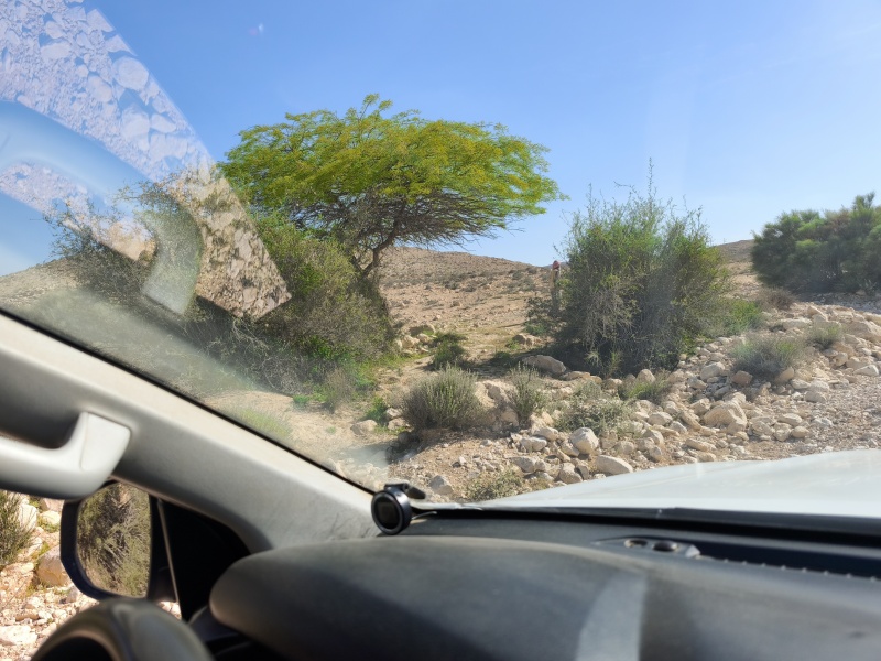 קובץ:2025-04-15T16 11 07.945727999871.jpg