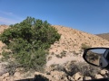 תמונה ממוזערת לגרסה מתאריך 08:57, 21 באפריל 2025