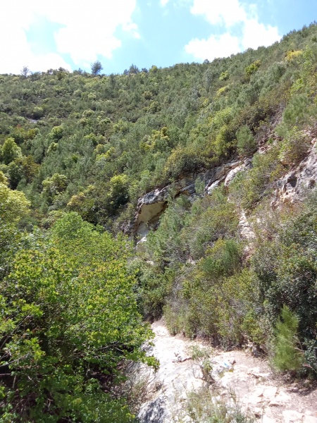 קובץ:2025-04-16T04 15 14.419139585242.jpg
