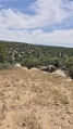 תמונה ממוזערת לגרסה מתאריך 09:16, 16 באפריל 2025
