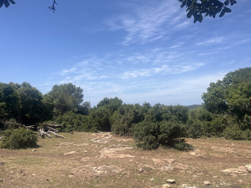 קובץ:2025-04-16T13 13 33.82327547660.jpg