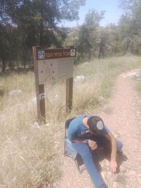קובץ:2025-04-16T14 14 40.790003179202.jpg