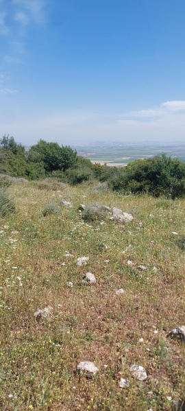 קובץ:2025-04-16T14 46 27.582866726462.jpg