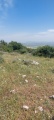 תמונה ממוזערת לגרסה מתאריך 16:32, 21 באפריל 2025