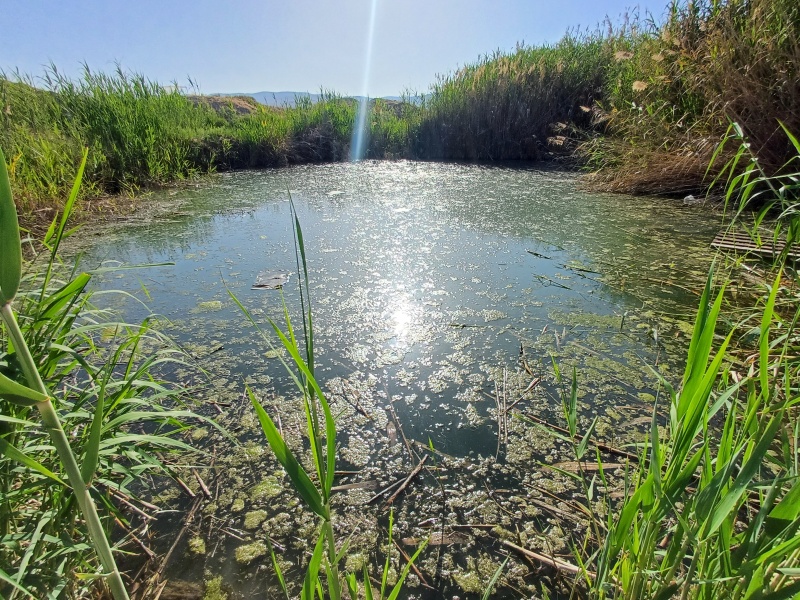 קובץ:2025-04-16T16 48 57.568700808041.jpg