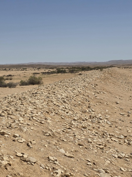 קובץ:2025-04-17T02 42 55.5349502914.jpg