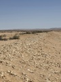 תמונה ממוזערת לגרסה מתאריך 23:22, 16 באפריל 2025