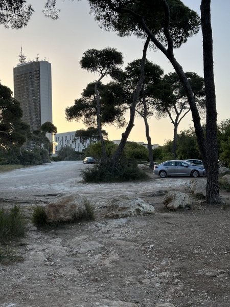 קובץ:2025-04-17T06 32 26.761885843257.jpg