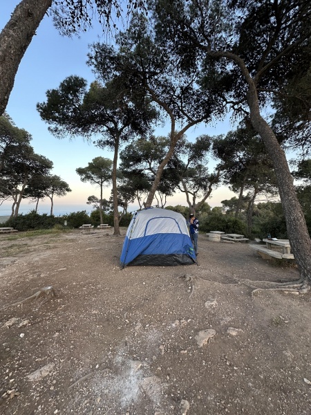 קובץ:2025-04-17T06 32 36.567351288863.jpg