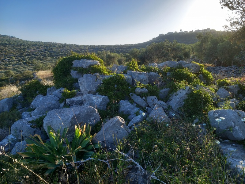 קובץ:2025-04-17T07 19 46.129832651196.jpg