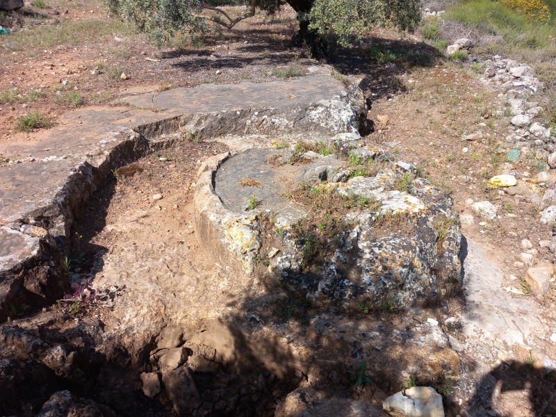 קובץ:2025-04-17T09 41 22.39185042222.jpg