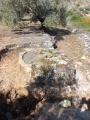 תמונה ממוזערת לגרסה מתאריך 09:42, 17 באפריל 2025