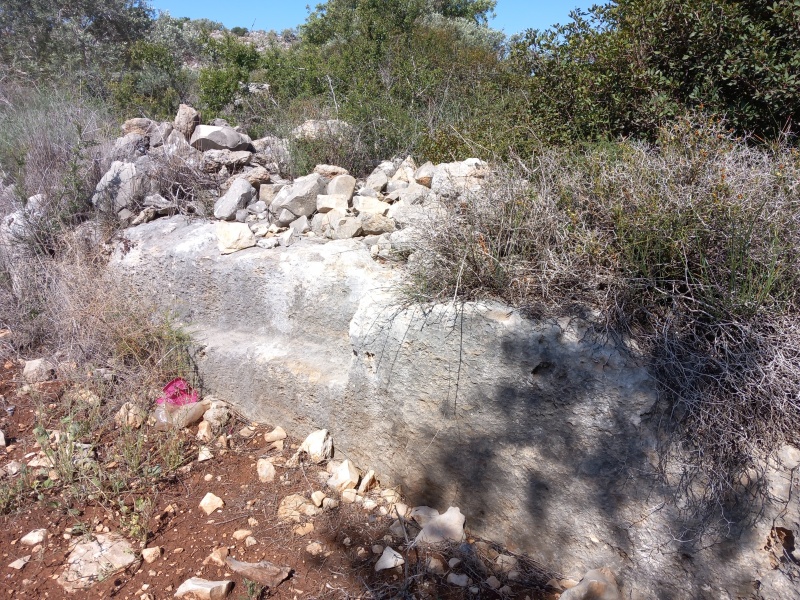 קובץ:2025-04-17T10 03 45.465526235991.jpg