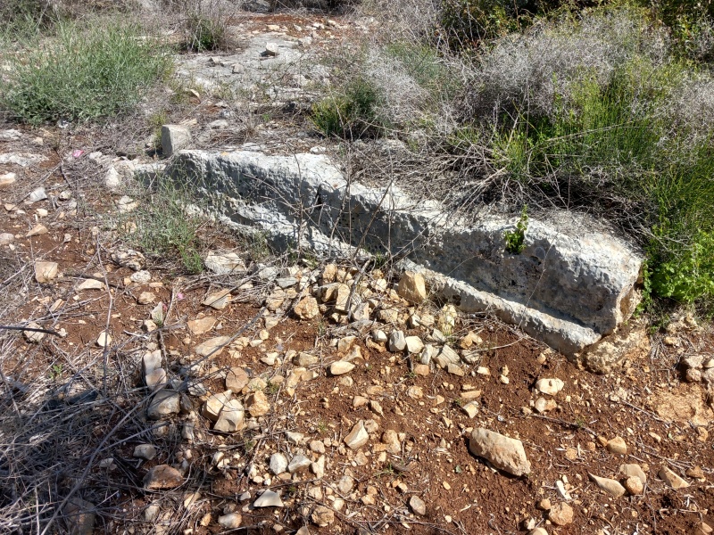 קובץ:2025-04-17T10 03 58.855200886910.jpg
