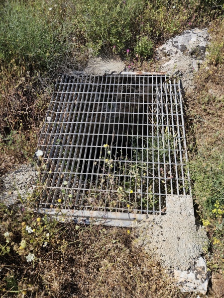 קובץ:2025-04-17T10 18 45.369563200664.jpg