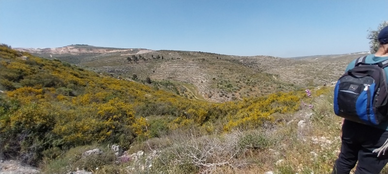 קובץ:2025-04-17T11 07 15.419552413585.jpg