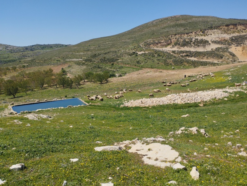 קובץ:2025-04-17T11 12 47.30029860046.jpg