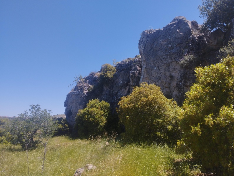 קובץ:2025-04-17T12 33 30.984115478049.jpg