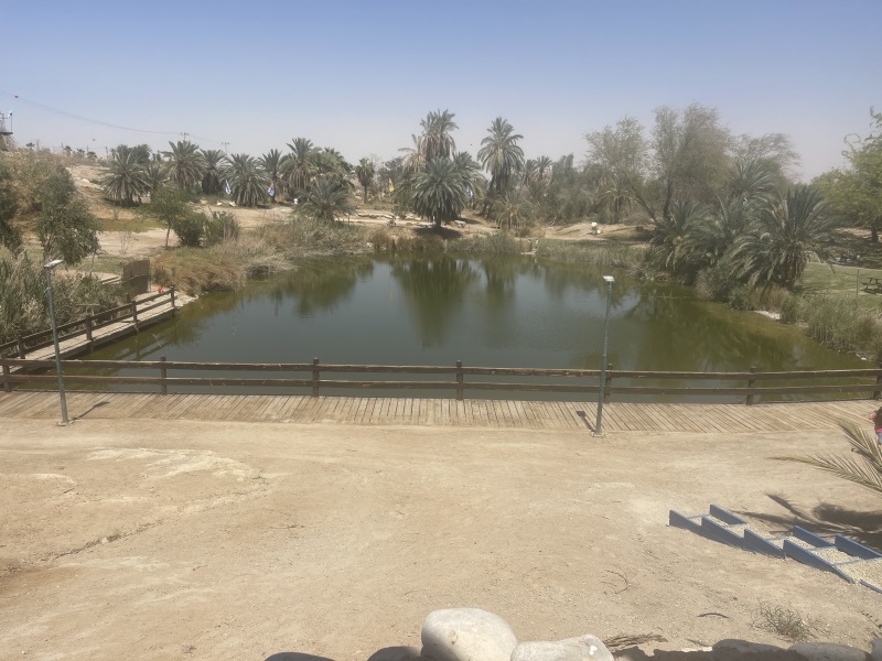 קובץ:2025-04-17T13 20 24.020373417943.jpg