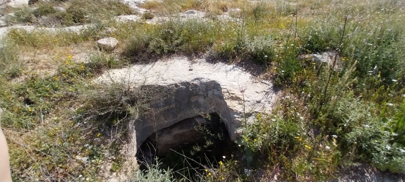 קובץ:2025-04-17T13 21 37.525742522303.jpg
