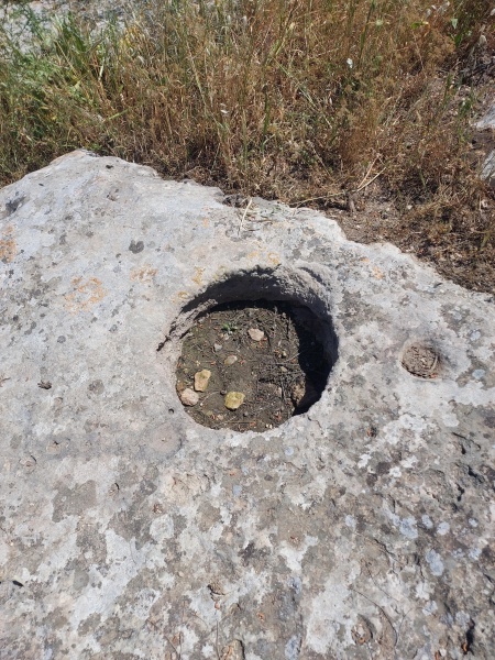 קובץ:2025-04-17T13 48 39.026944429165.jpg